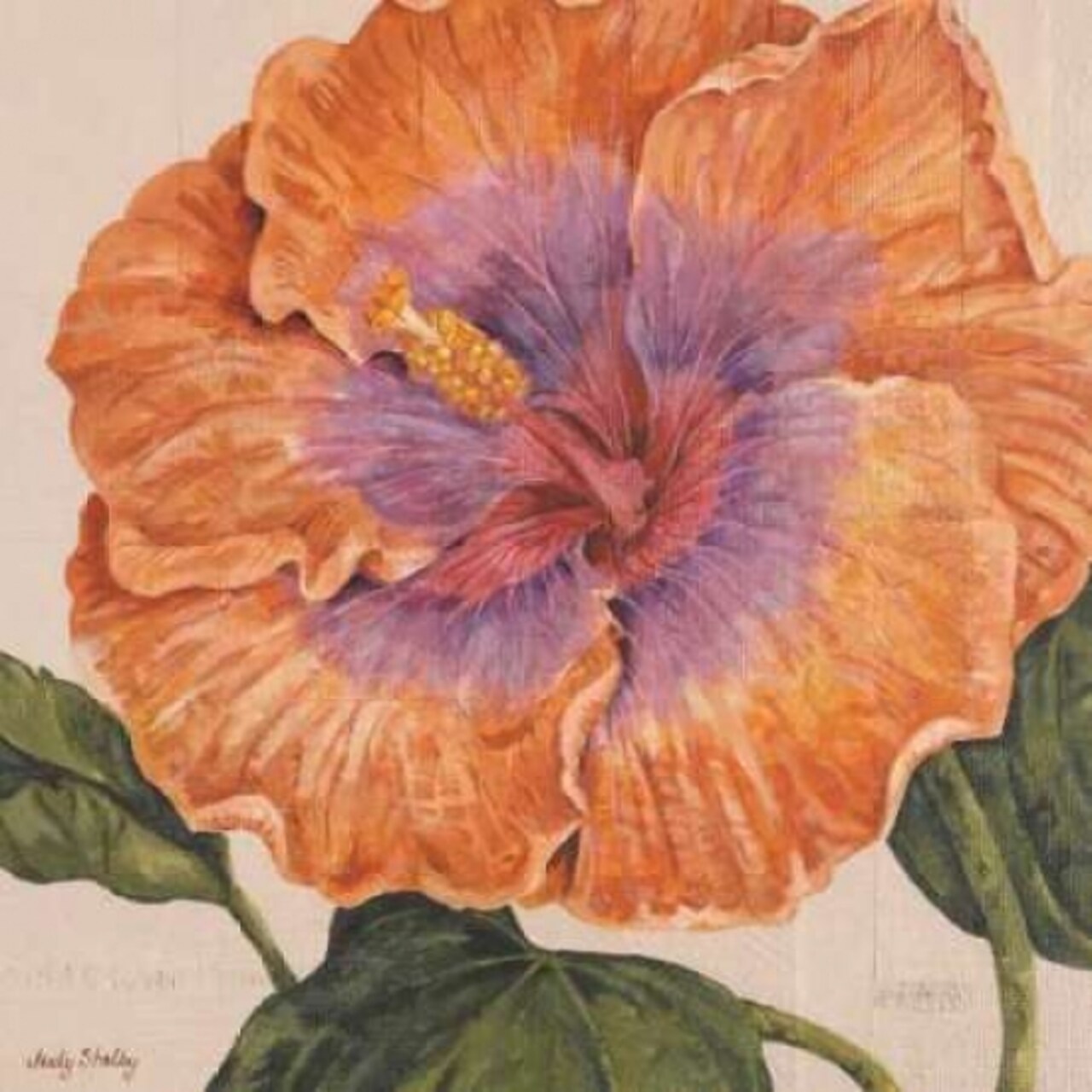 Island Hibiscus II Poster Print by Judy Shelby - Item # VARPDXCC2430